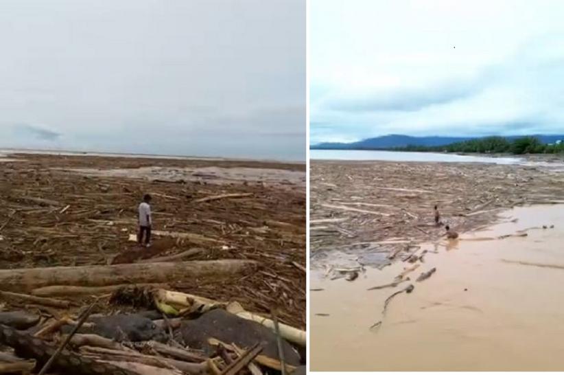 Viral Penampakan Gelondongan Kayu usai Banjir Bandang di Pantai Padang, Punya Siapa?