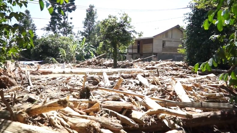 Heboh Kayu Gelondongan Terseret Banjir Dikaitkan Illegal Logging, Kini Diselidiki Bareskrim