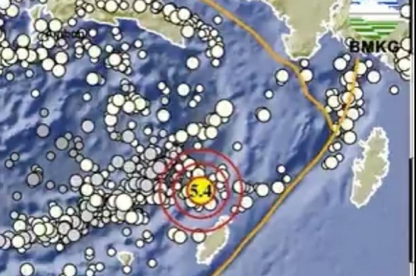Gempa Hari Ini M 5,4 Guncang Tanimbar Maluku, Tidak Berpotensi Tsunami