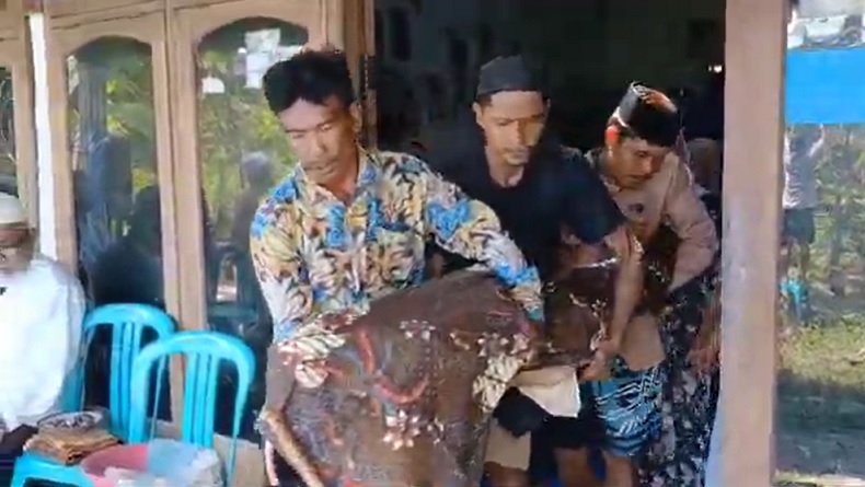 Kecelakaan di Grobogan, Siswi SMK Tewas saat Berangkat Sekolah dan Antar Makanan ke Kantin