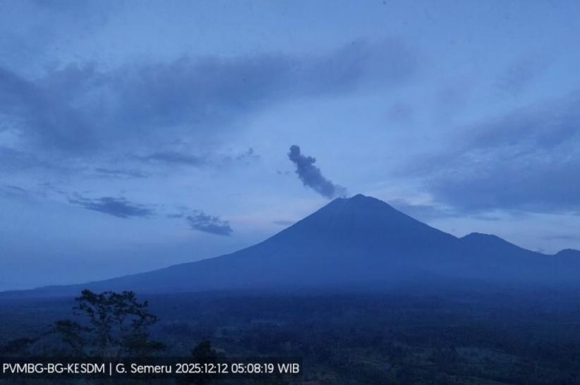 Gunung Semeru Erupsi Hari ini, Kolom Abu Capai 800 Meter