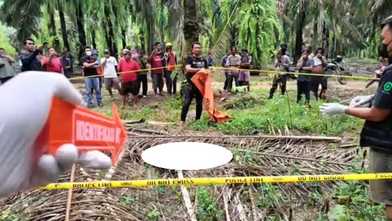 Jasad Pelajar Ditemukan Tertutup Pelepah Sawit di Tulang Bawang, Diduga Korban Pembunuhan