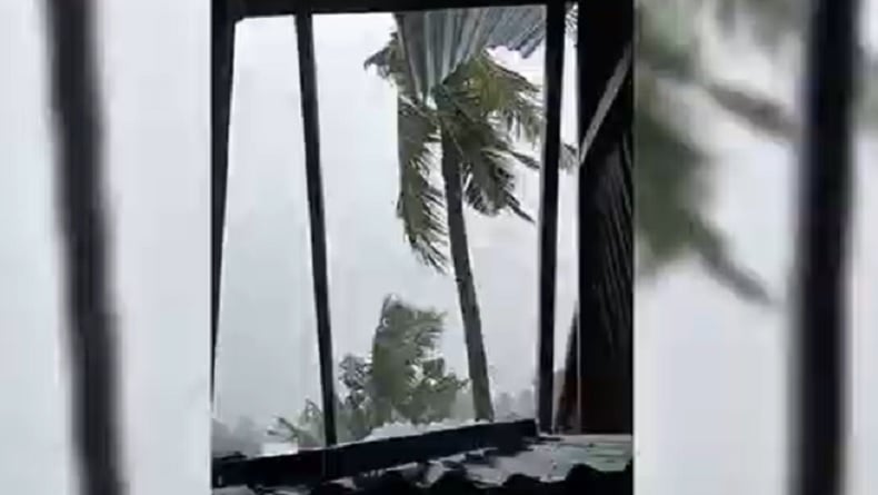 Hujan Disertai Angin Kencang Terjang Barru, 10 Rumah Rusak dan Pohon Tumbang