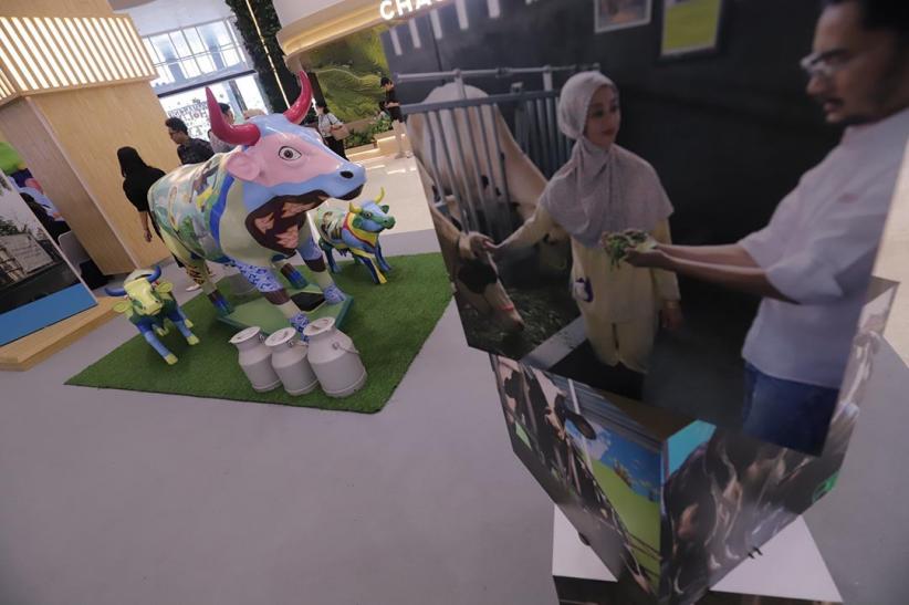 50 Tahun Kemitraan Peternak Sapi Perah di Jawa Timur - Bagian 4