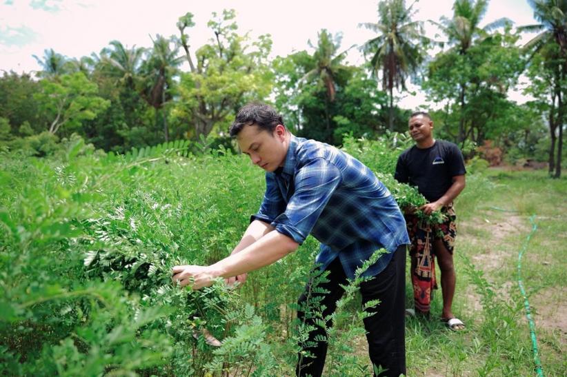 Ragam Wastra Warna Alam Karya Penenun Sumba Timur  - Bagian 5