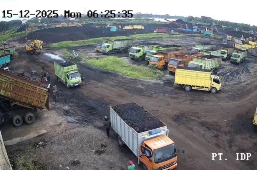 Sopir Truk Tewas Dihantam Batu Bara di Muaro Jambi, Pelaku Ditangkap Kurang dari 24 Jam