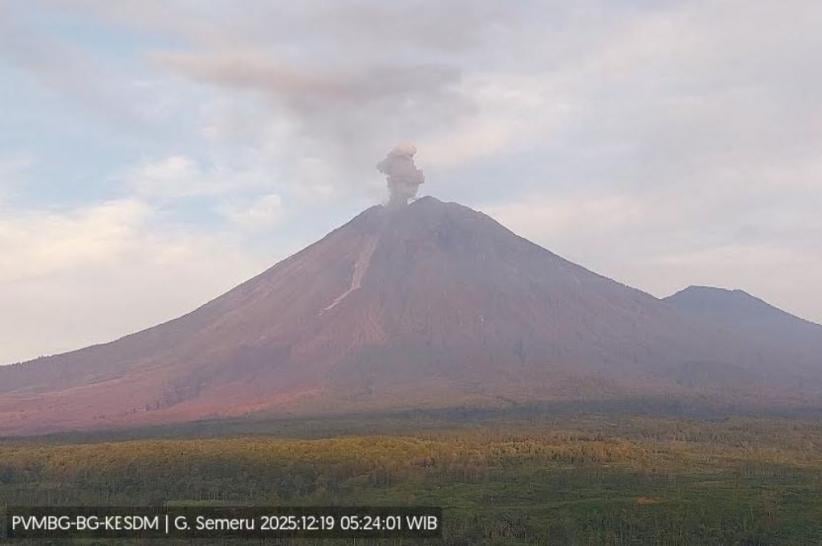 Gunung Semeru Erupsi Belasan Kali Hari Ini, Kolom Abu Capai 1.000 Meter
