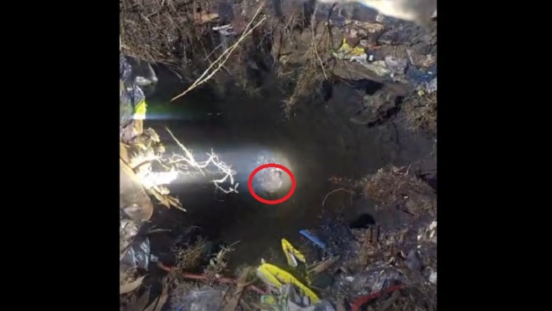 Lolos dari Maut, Pria di Bangkalan Ditemukan Lemas Terjebak 2 Hari di Sumur Tua