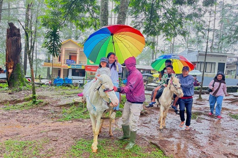 Wisata Berkuda Jadi Daya Tarik Pengunjung Hutan Pinus Malino - Bagian 2