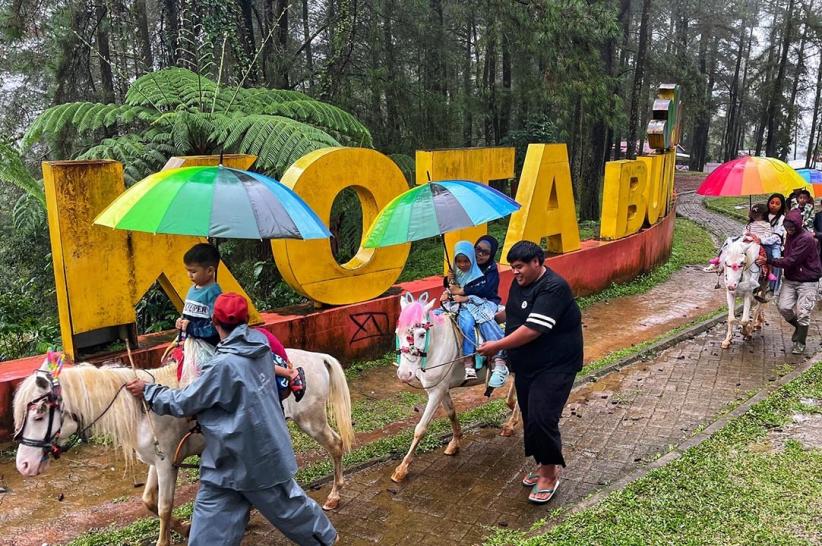 Wisata Berkuda Jadi Daya Tarik Pengunjung Hutan Pinus Malino - Bagian 3