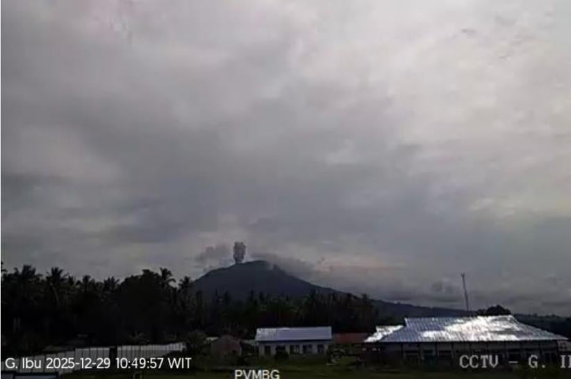 Gunung Ibu Meletus Hari Ini, Kolom Abu Capai 500 Meter dari Puncak