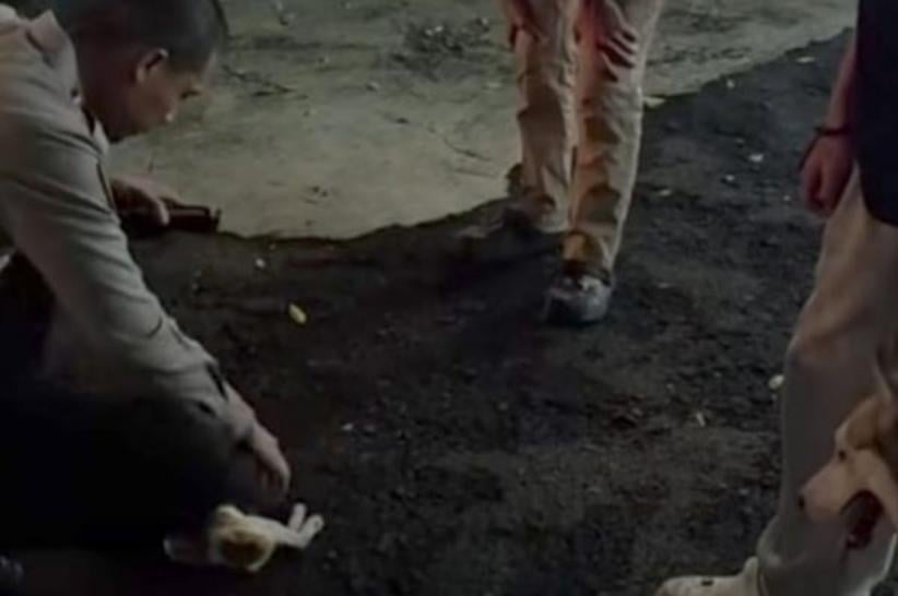 Viral Aksi Polisi Humanis di Bandung, Selamatkan Anak Kucing Terluka Diserang Anjing