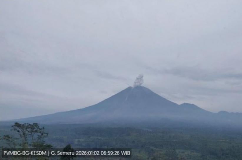 Gunung Semeru Meletus Lagi di Awal 2026, Kolom Abu Setinggi 600 Meter