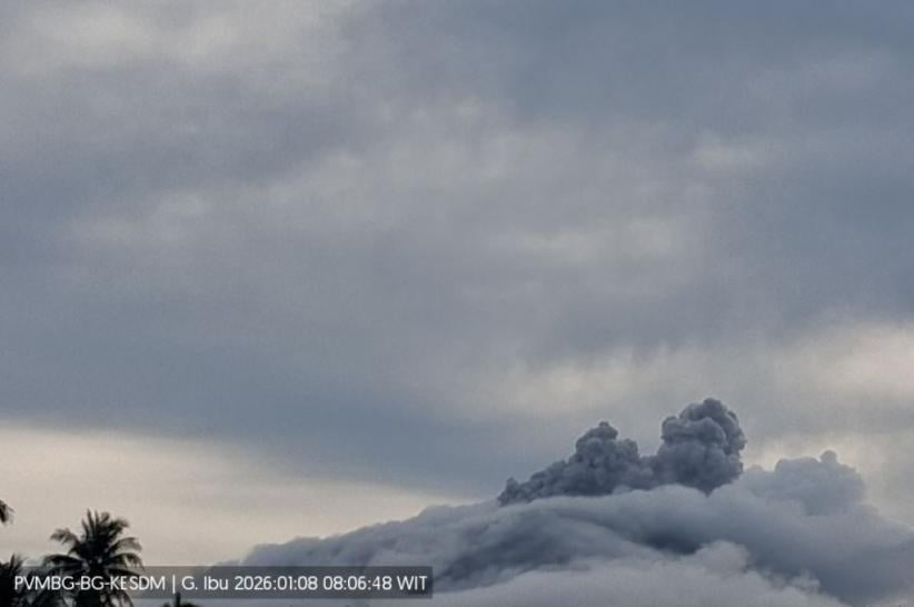 Gunung Ibu Erupsi Hari Ini, Kolom Abu Capai Setinggi 300 Meter