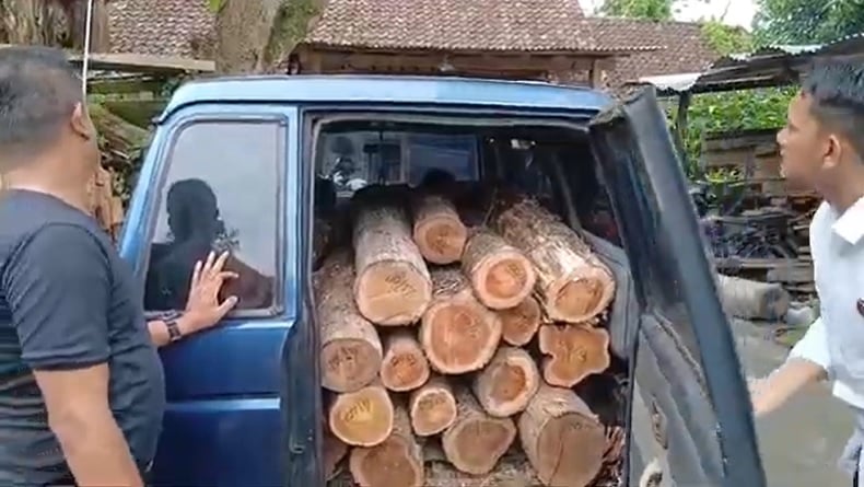 2 Pelaku Illegal Logging di Ngawi Ditangkap, Ratusan Kayu Jati Disita