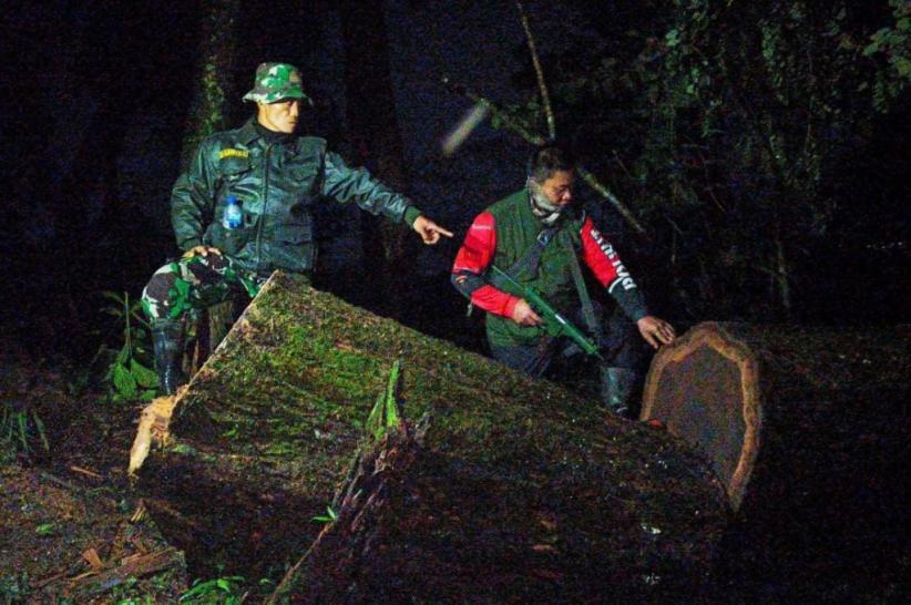 TNI dan Polhut Gagalkan Pembalakan Liar di Gunung Ciremai, Truk Muatan Kayu Diamankan