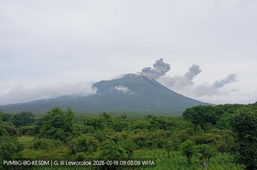 Gunung Ile Lewotolok di NTT Meletus, Kolom Abu Capai 500 Meter