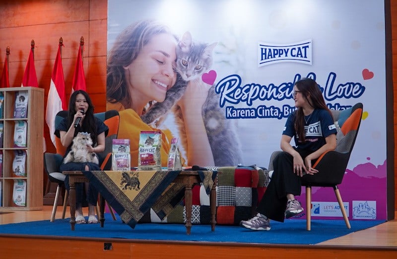 Gerakan Sterilisasi Kucing Ajak Masyarakat Wujudkan Cinta Lewat Tindakan - Bagian 2