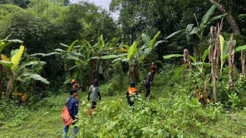 Hari Ketiga Pencarian, Wanita Hilang di Hutan Makamdawa Belum Ditemukan