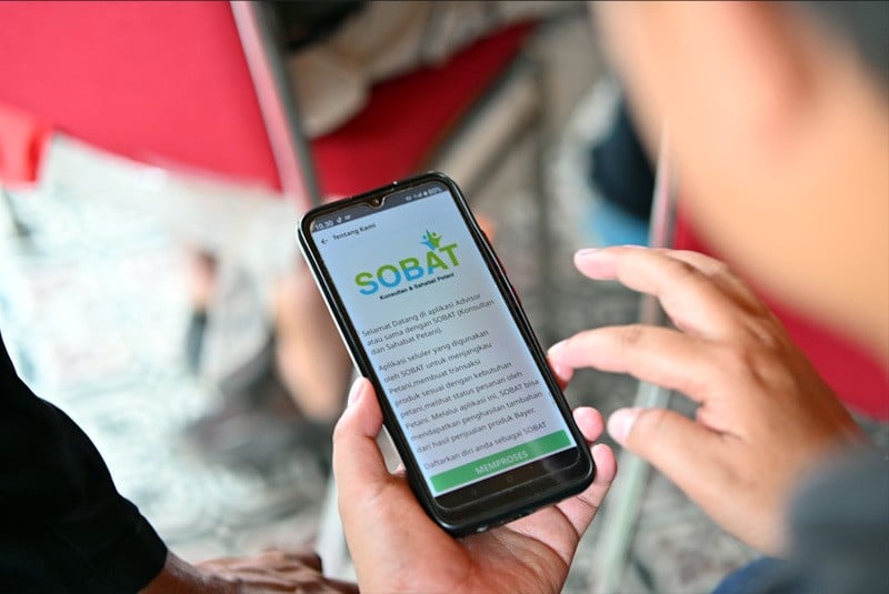 Ratusan Petani Grobogan Panen Jagung - Bagian 5