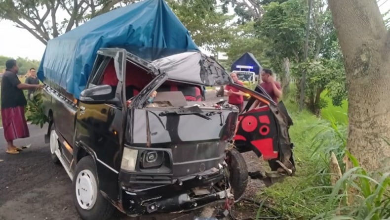 Pikap Hantam Pohon di Bangkalan, 1 Orang Tewas 2 Luka-Luka