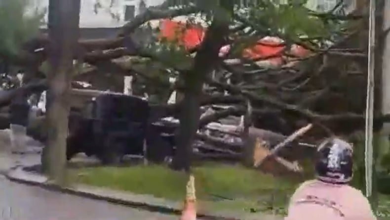 Hujan dan Angin Kencang Tumbangkan Pohon di Bandung Barat, 3 Mobil dan Warung Rusak