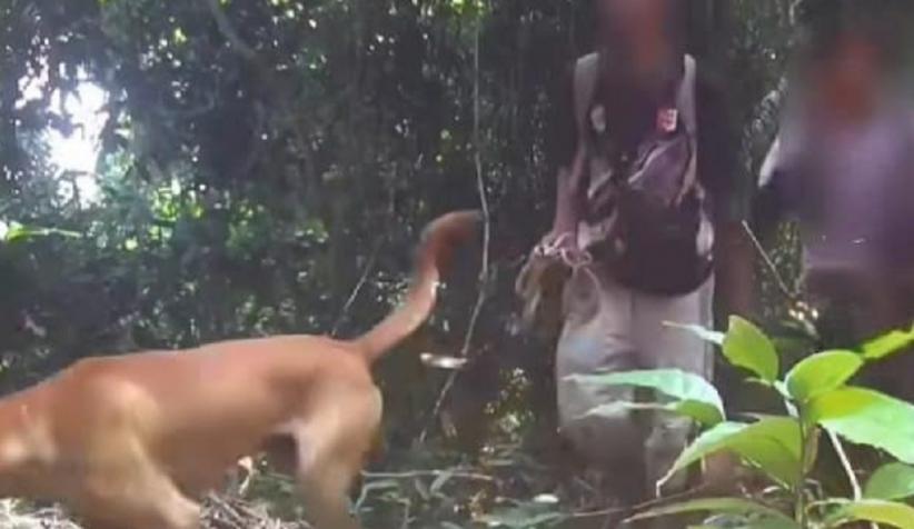 5 Pemburu Macan Tutul Jawa di Hutan Gunung Sanggabuana Karawang Ditangkap