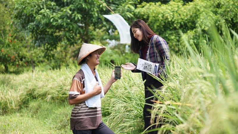 BRI Salurkan KUR Rp178,08 Triliun Sepanjang 2025, Lebih dari 60 Persen ke Sektor Produksi
