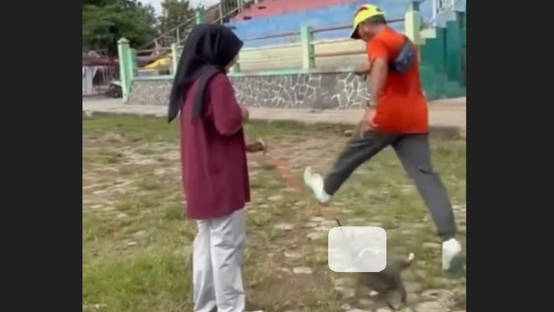 Viral! Pria Tendang Kucing hingga Mati, Polda Jateng Kantongi Identitas Pelaku