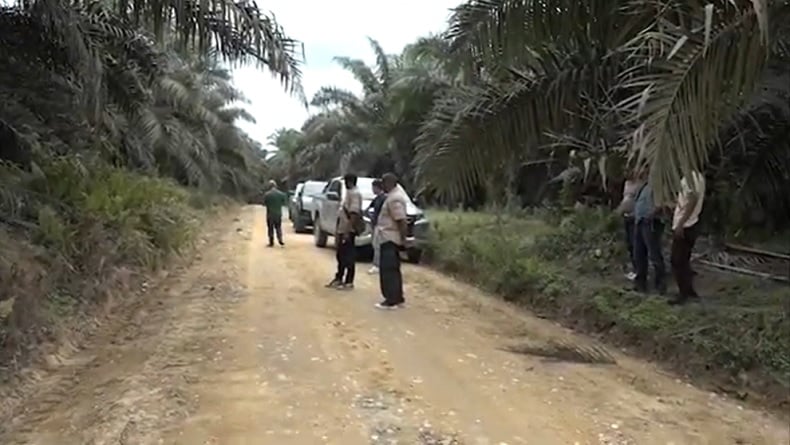 Ninja Sawit Beraksi, Sekuriti Perusahaan di Pelalawan Ditembak