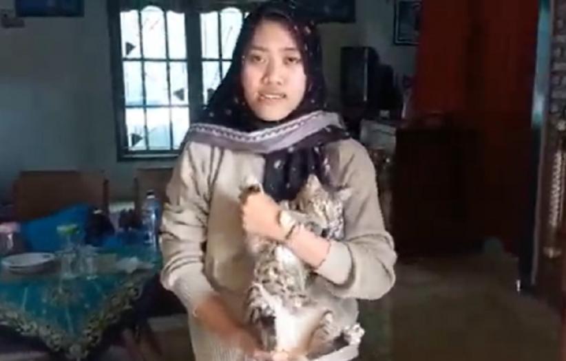 Ditawari Kucing Persia, Pemilik Kucing yang Ditendang di Blora Tolak Ajakan Damai Pelaku