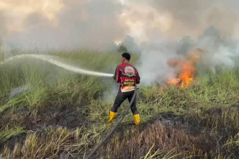 Kebakaran Lahan 2,5 Hektare di Palangka Raya Kalteng, Petugas Berjibaku Padamkan Api