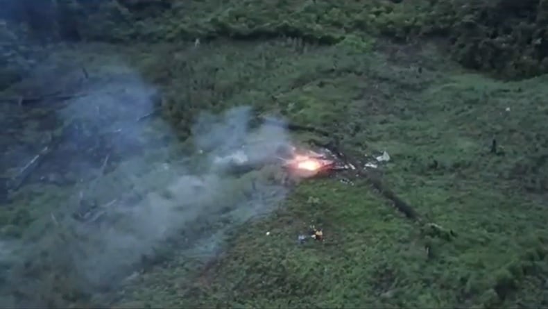 112 Hektare Ladang Ganja di Gayo Lues Dibabat Habis, 56 Orang Ditangkap