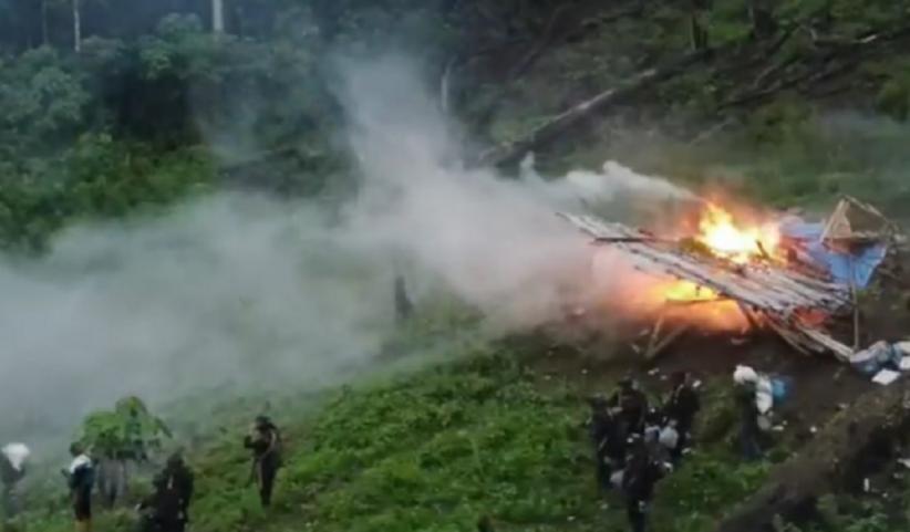 Kronologi 168 Ton Ganja Senilai Rp1,27 Triliun di Gayo Lues Dimusnahkan