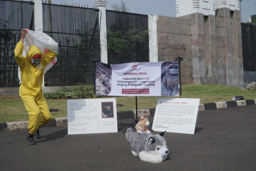 Aksi Surat Cinta untuk DPR Serukan Penghentian Perdagangan Daging Anjing dan Kucing - Bagian 1