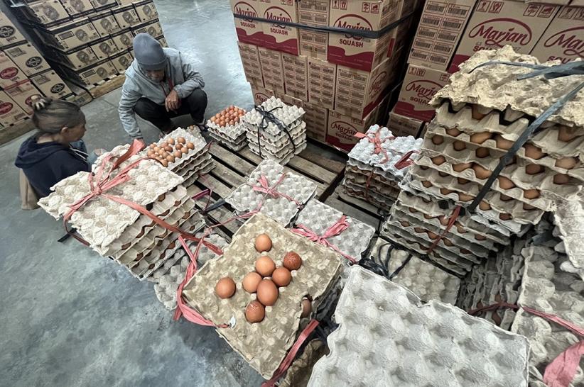 Harga Telur Ayam Naik Jelang Ramadan - Bagian 4