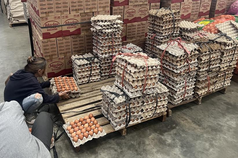 Harga Telur Ayam Naik Jelang Ramadan - Bagian 5