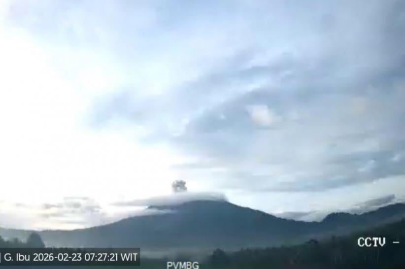 Gunung Ibu Erupsi Hari Ini, Semburkan Kolom Abu Setinggi 400 Meter