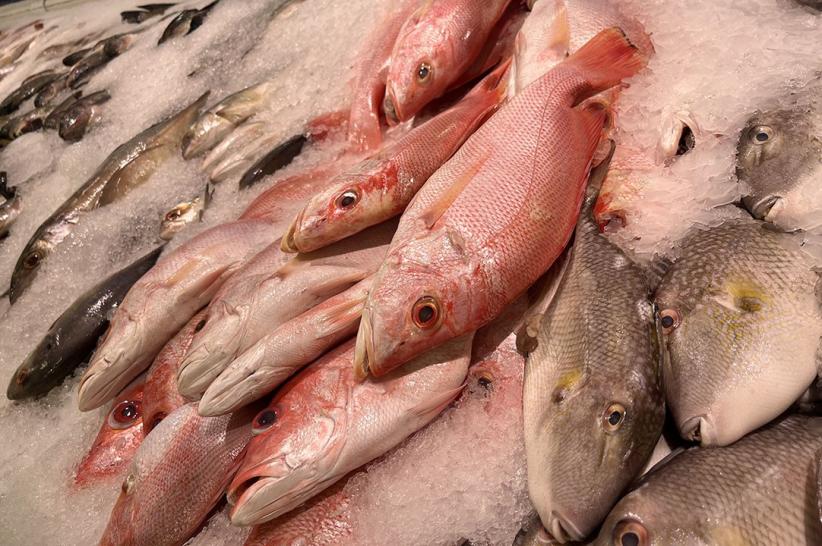 KKP: Harga Ikan Nasional Dipastikan Stabil Selama Ramadan - Bagian 4