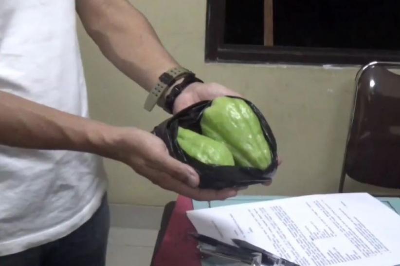 Tepergok Curi 2 Labu, Warga Cianjur Tewas Dianiaya Penjaga Kebun