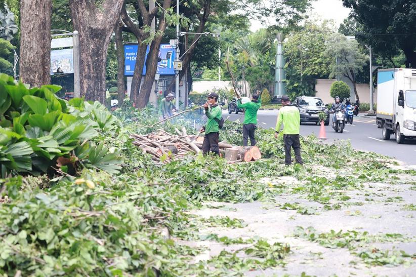Antisipasi Cuaca Buruk, Pohon Rindang di Kawasan Senayan Dipotong - Bagian 4