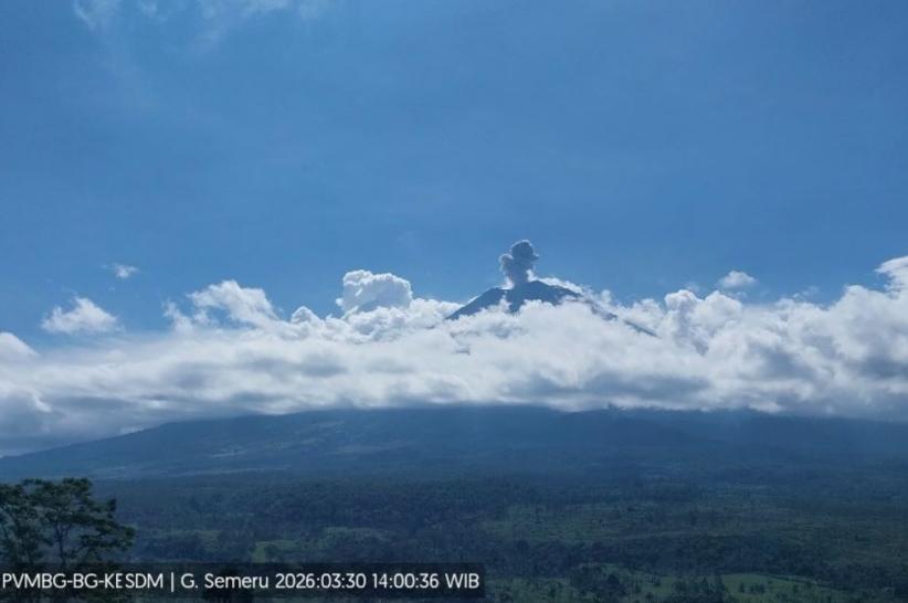Gunung Semeru Meletus Siang Ini, Kolom Abu Capai 700 Meter dari Puncak