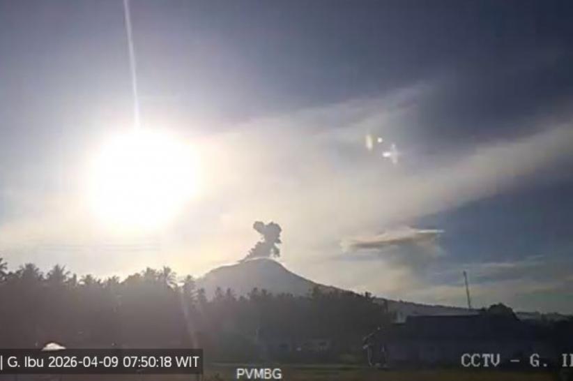 Gunung Ibu Meletus, Muntahkan Kolom Abu 700 Meter ke Langit Halmahera Barat