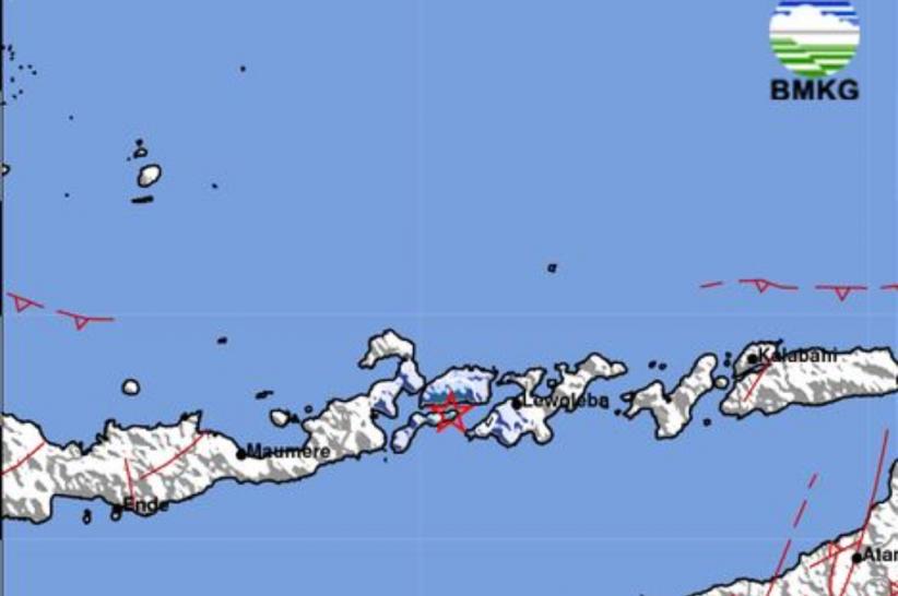 Gempa Hari Ini Magnitudo 3,8 Guncang Larantuka Flores Timur, Terasa Cukup Kuat