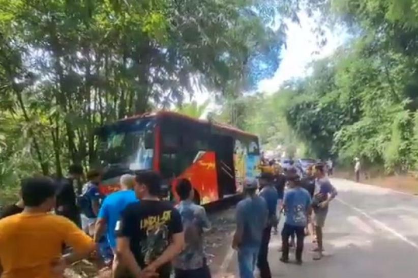 Kronologi Kecelakaan Beruntun Bus Trans Jateng di Purworejo, Berawal dari Kucing Melintas