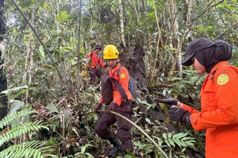 Remaja di Mamuju Hilang Misterius dalam Hutan Hampir 2 Minggu