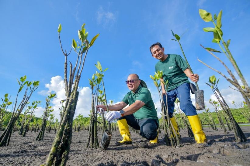 Peringatan Hari Bumi Sedunia, 1.150 Bibit Mangrove Ditanam di Teluk Benoa Bali - Bagian 1