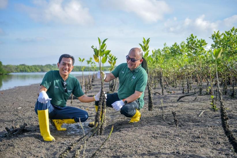 Peringatan Hari Bumi Sedunia, 1.150 Bibit Mangrove Ditanam di Teluk Benoa Bali - Bagian 2