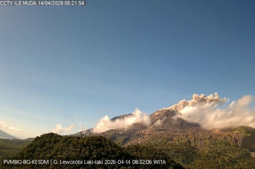 Gunung Lewotobi Laki-laki di NTT Erupsi Hari Ini, Kolom Abu Capai 400 Meter