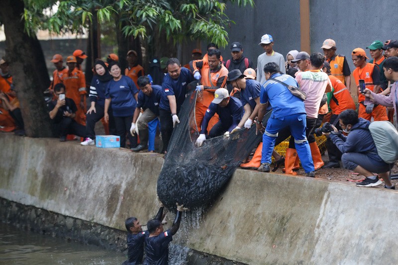 3 Ton Ikan Sapu-Sapu Ditangkap di Setu Babakan - Bagian 1